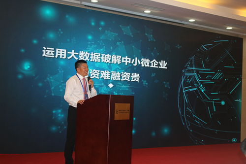 用大數(shù)據(jù)賦能鄉(xiāng)村發(fā)展,讓中小微企業(yè)融資像網(wǎng)購(gòu)一樣方便