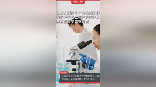 云南大理州中小企業融資擔保公司高管被查，中小企業融資生態引關注